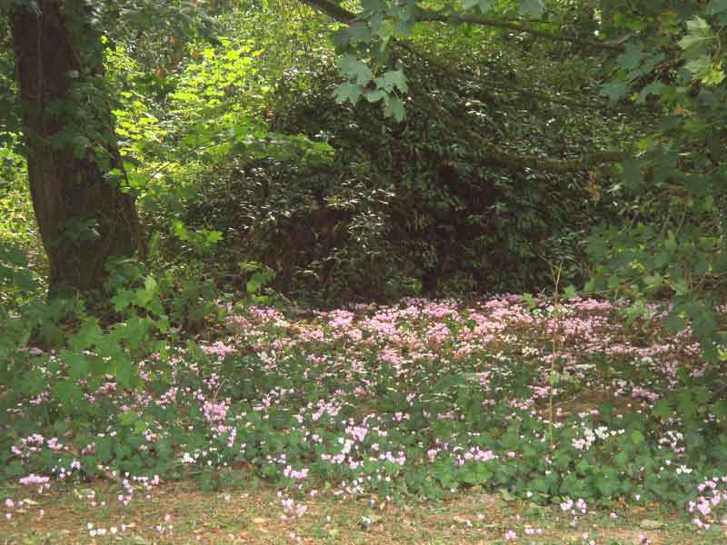 Clinique val de Loire